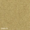 GNN-23