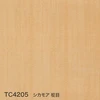 color chip