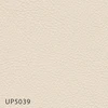 UP5039