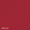 UP5167