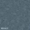 RE55621