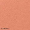 color chip
