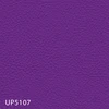 UP5107
