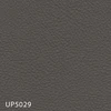 UP5029