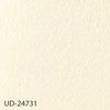 color chip