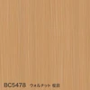 color chip