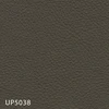 UP5038