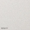 FE76177