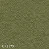 UP5173