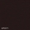 color chip