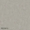 color chip