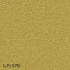 color chip