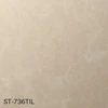color chip