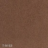color chip