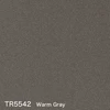 color chip