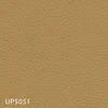 UP5051