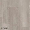 color chip