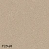 TS2428