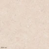 color chip