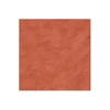 color chip