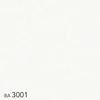 BA3001