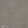 GNT7513