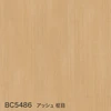 color chip