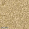 color chip