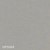 UP5004