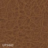 UP5443