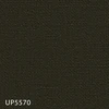 color chip