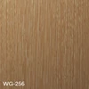 WG-256