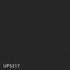UP5217