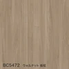 color chip