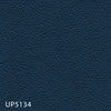 UP5134