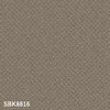 color chip