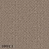 color chip