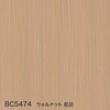 color chip