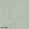 RE55480