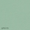 UP5175