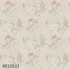 RE55923