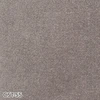 color chip