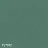 color chip