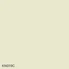 KN019C