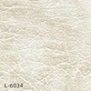color chip