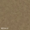 RE55619