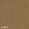 UP5257