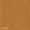 L-6732