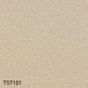 color chip