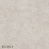 color chip